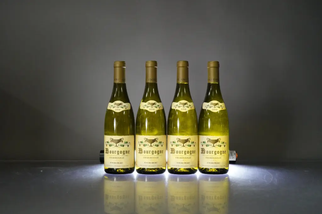 Coche Dury Bourgogne Chardonnay 2016 (750ml)