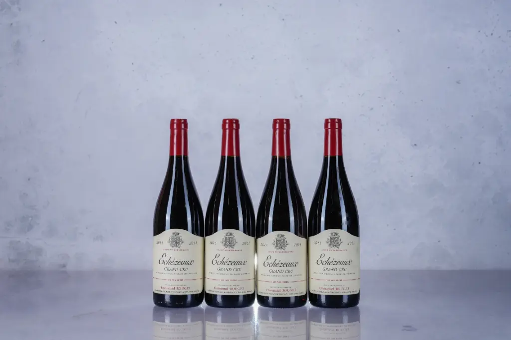 Emmanuel Rouget Echezeaux 2011 (750ml)