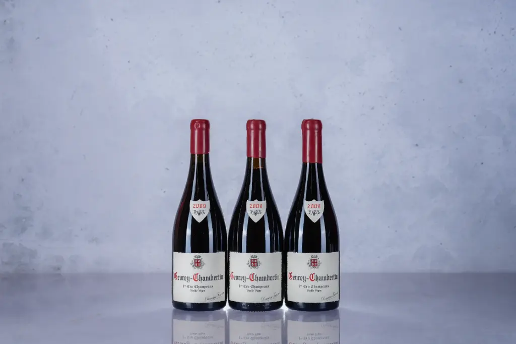 Fourrier Gevrey Chambertin 1er Cru Champeaux Vieille Vigne 2009 (750ml)