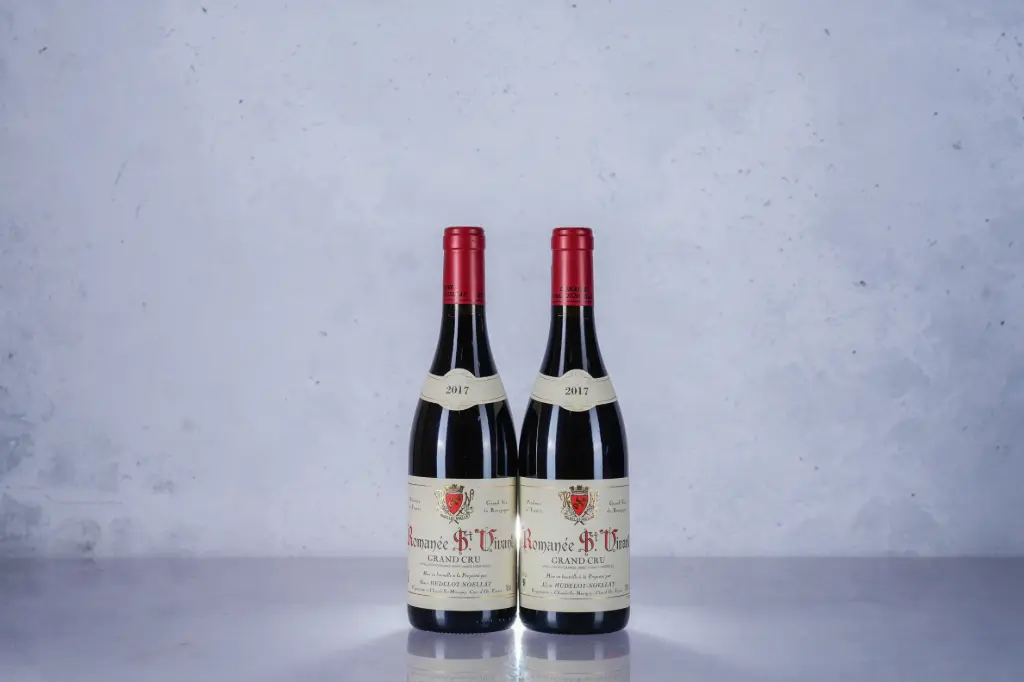 Hudelot Noellat Romanee St Vivant 2017 (750ml)