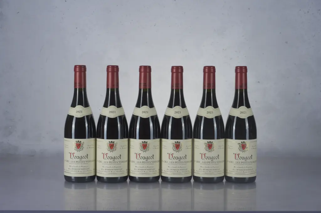 Hudelot Noellat Vougeot 1er Cru Petits Vougeot 2021 (750ml)