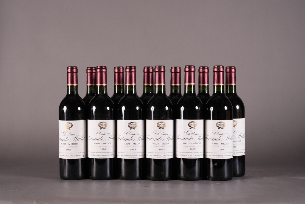Sociando Mallet 1995 (750ml)