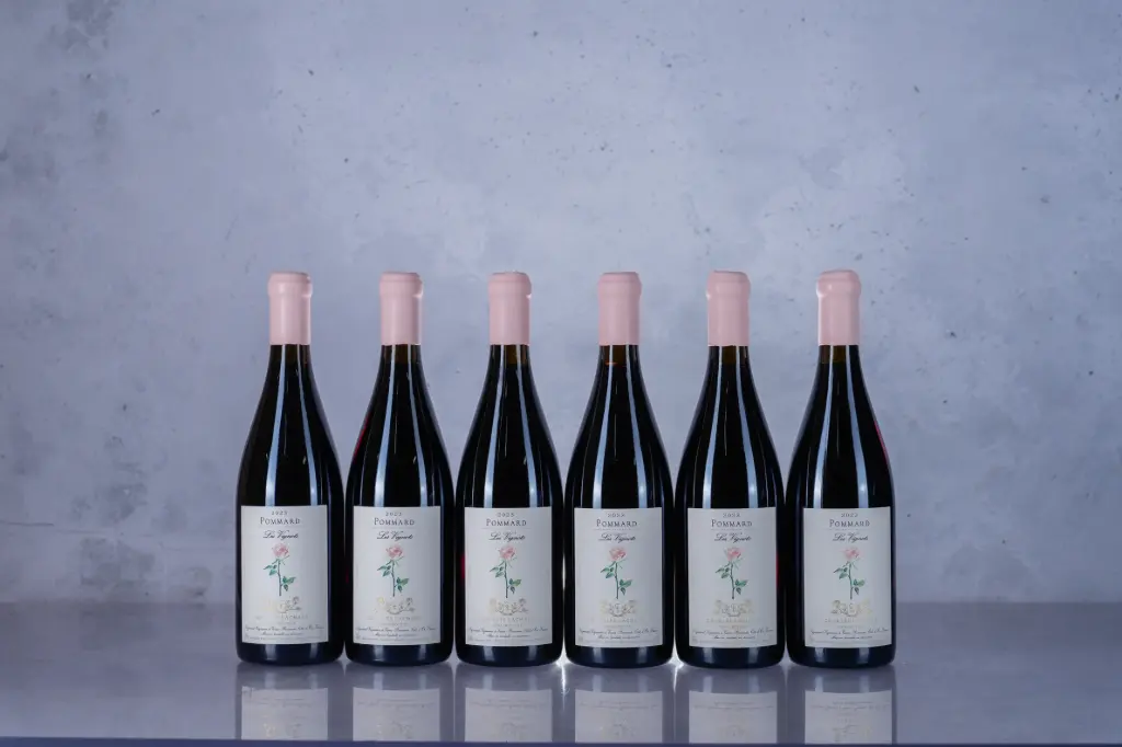 Charles Lachaux Pommard Vignots 2023 (750ml)