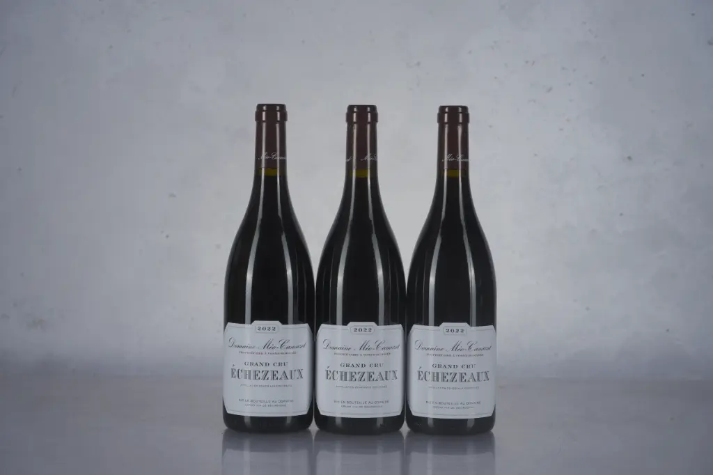 Meo Camuzet Echezeaux Rouges du Bas 2022 (750ml)