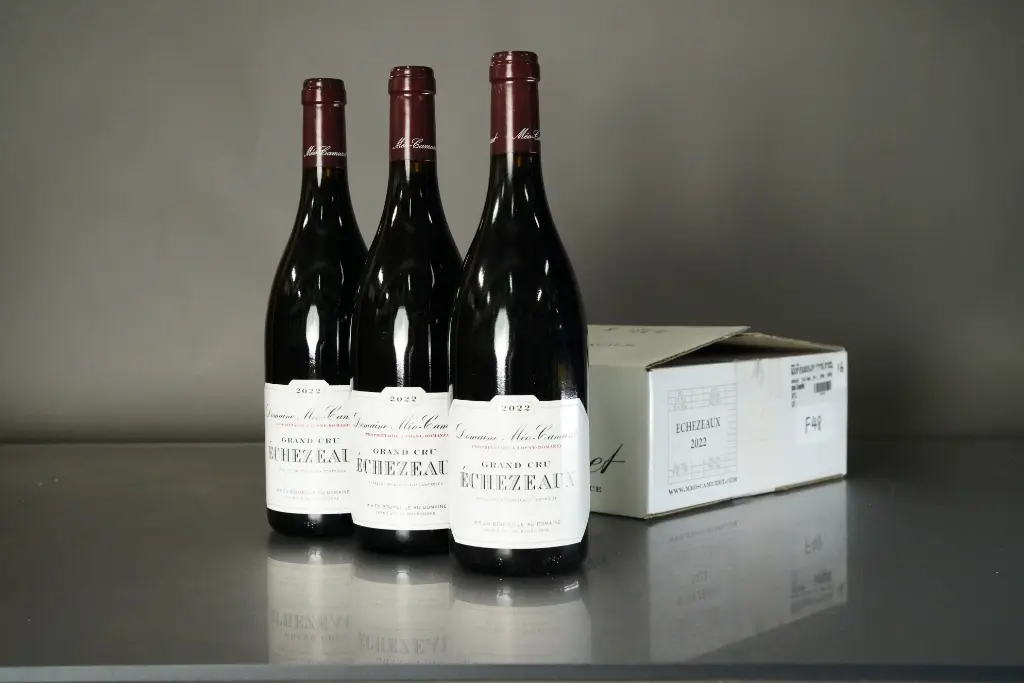 Meo Camuzet Echezeaux Rouges du Bas 2022 (750ml)