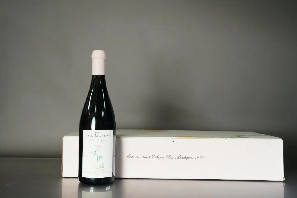 Charles Lachaux Cote de Nuits Villages Aux Montagnes 2022 (750ml)