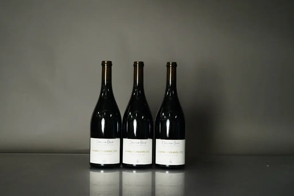 Bizot Vosne Romanee 2021 (750ml)