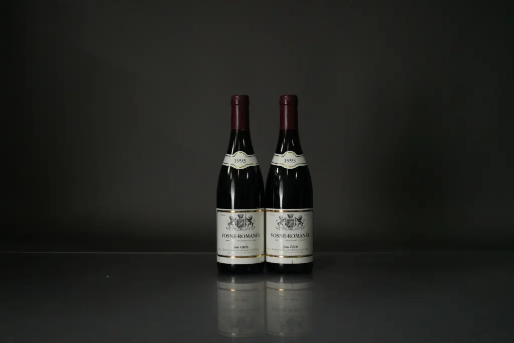 Jean Gros Vosne Romanee 1995 (750ml)