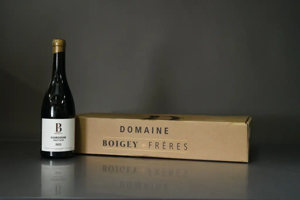 Boigey Freres Bourgogne Pinot Noir 2023 (750ml)