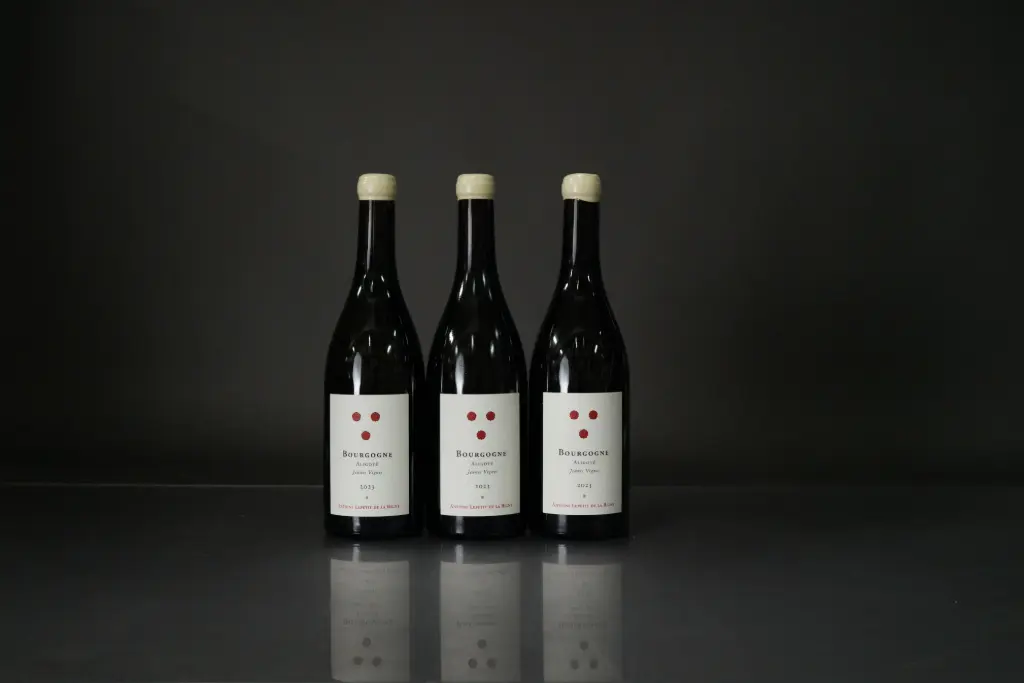 La Pierre Ronde Bourgogne Chardonny Cote'or 2023 (750ml)