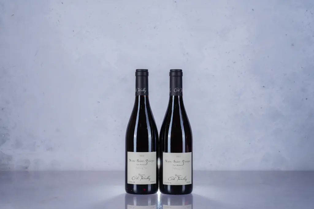 Cecile Tremblay Nuits St Georges 1er Cru Aux Murgers 2023(750ml)