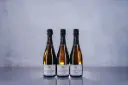  Selosse Pajon 'Rendez-Vous' Blanc de Blancs Brut NV (750ml)