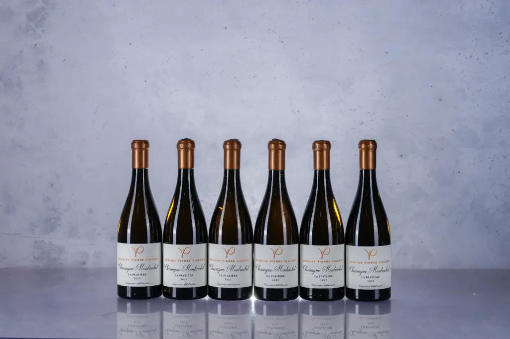 Pierre Vincent Chassagne Montrachet La Platiere 2023 (750ml)