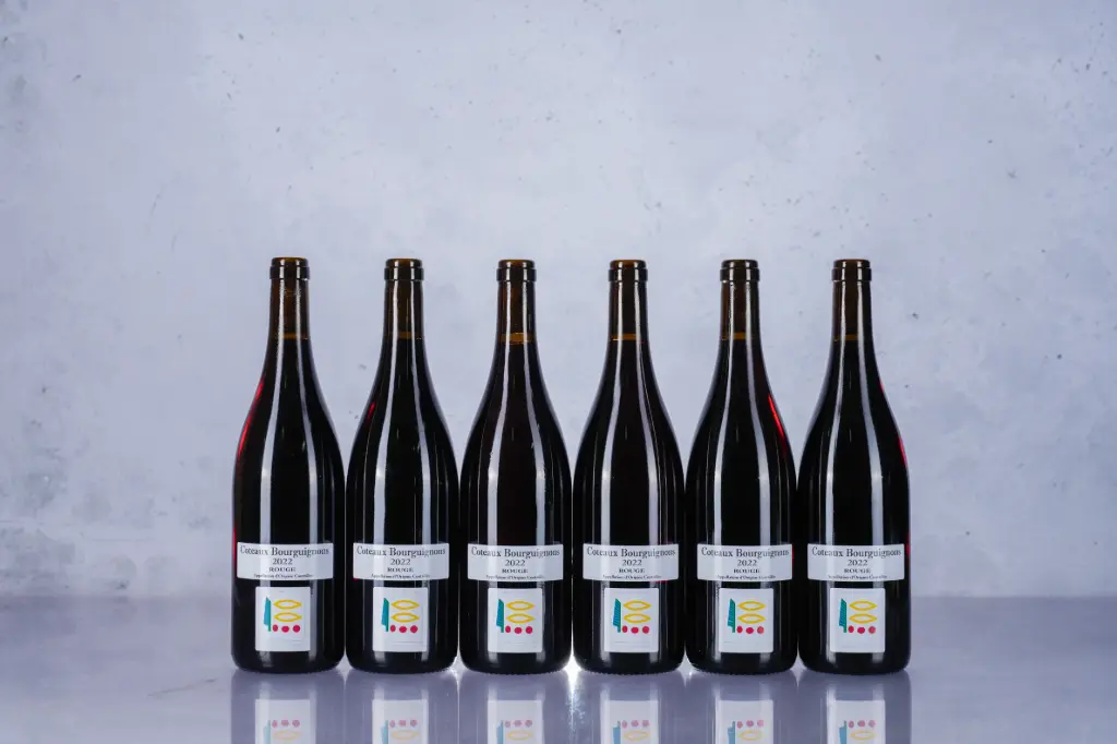 Prieure Roch Coteaux Bourguignons 2022 (750ml)