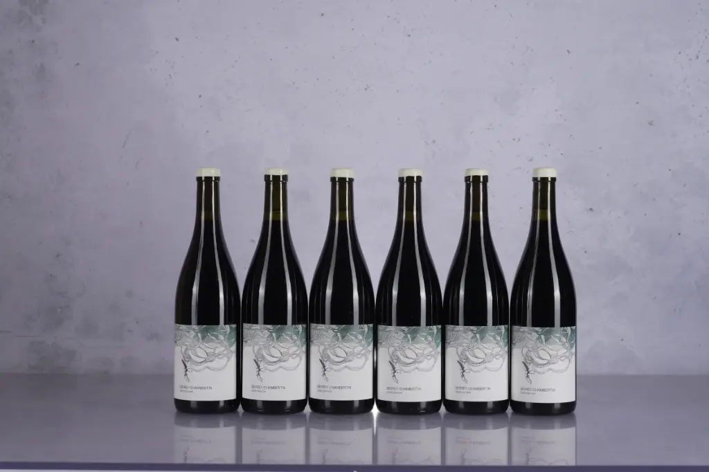 Les Horees Gevrey Chambertin J ecris Ton Nom 2023 (750ml)
