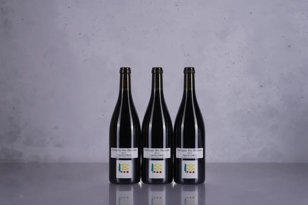 Prieure Roch Savigny Les Beaune Au dessus des Gollardes Rouge 2023 (750ml)
