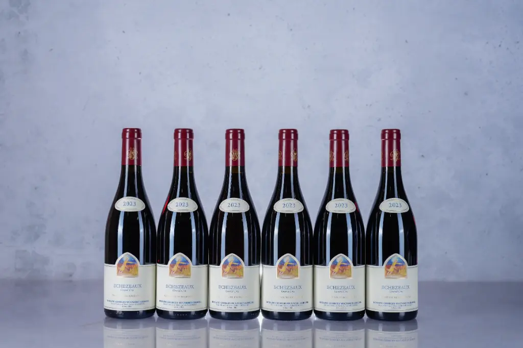 Mugneret Gibourg Echezeaux 2023 (750ml)