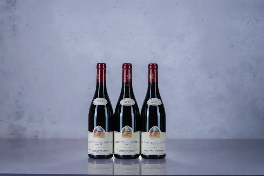 Mugneret Gibourg Ruchottes Chambertin 2023 (750ml)