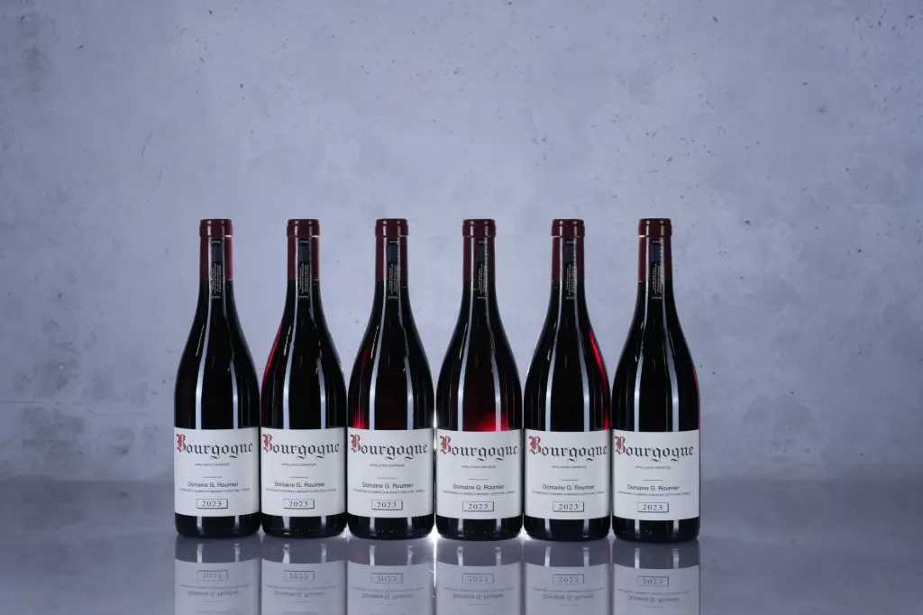 Roumier Bourgogne Rouge 2023 (750ml)