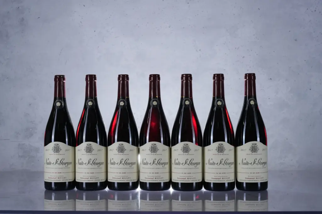 Emmanuel Rouget Nuit St Georges 2017 (750ml)