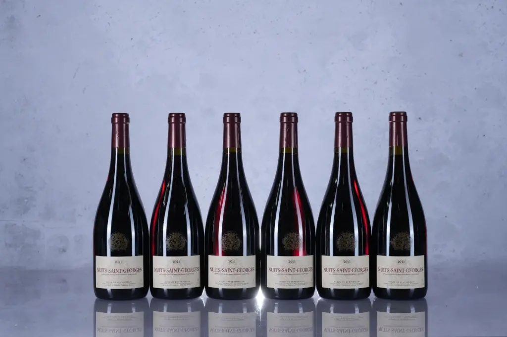 Chateau de Pommard Nuit St George 2011 (750ml)