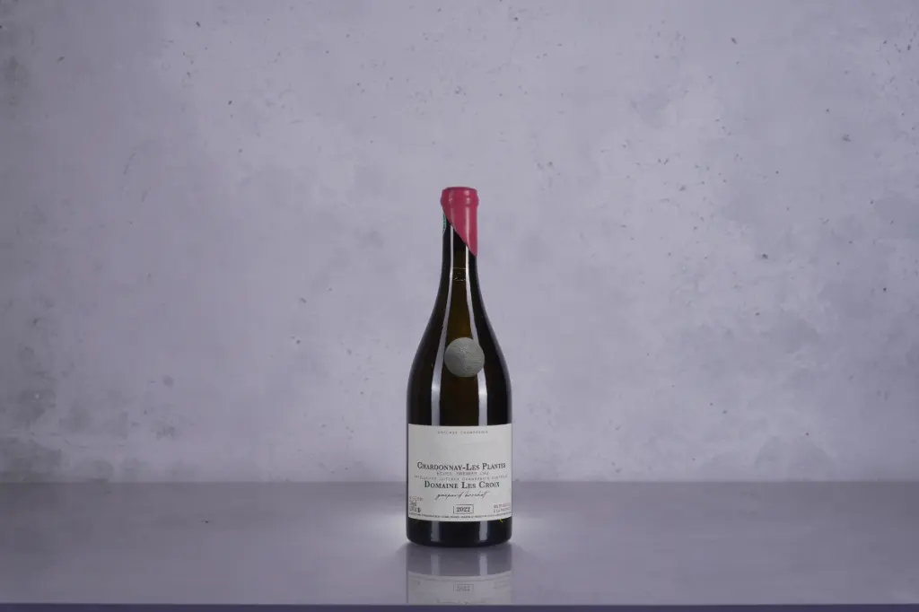 Gaspard Brochet - Domaine Les Croix Coteaux Champenois 'Les Plantes' 2022 (750ml)