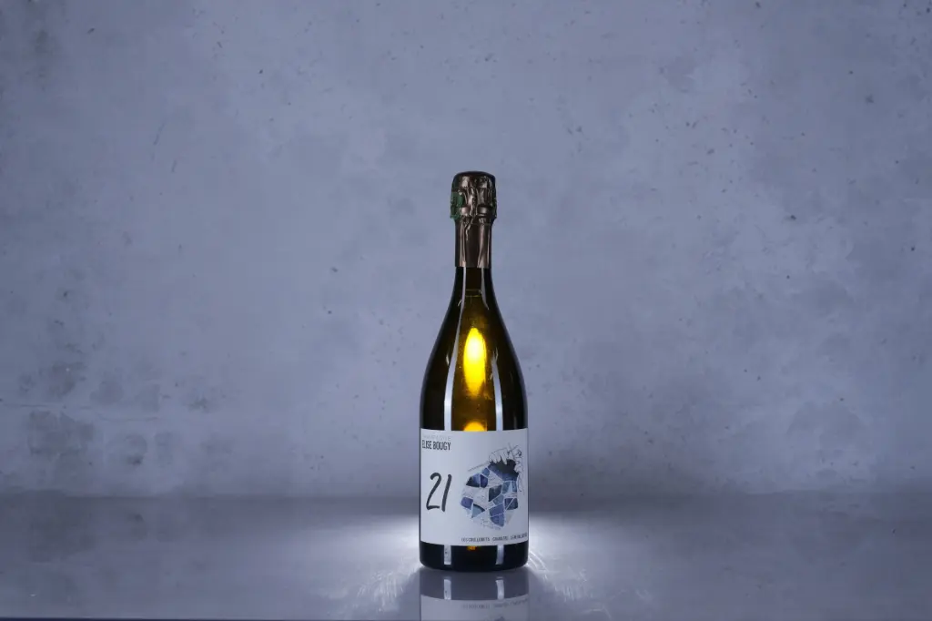 Elise Bougy Les Coullemets Blanc de Blanc 2021 (750ml)