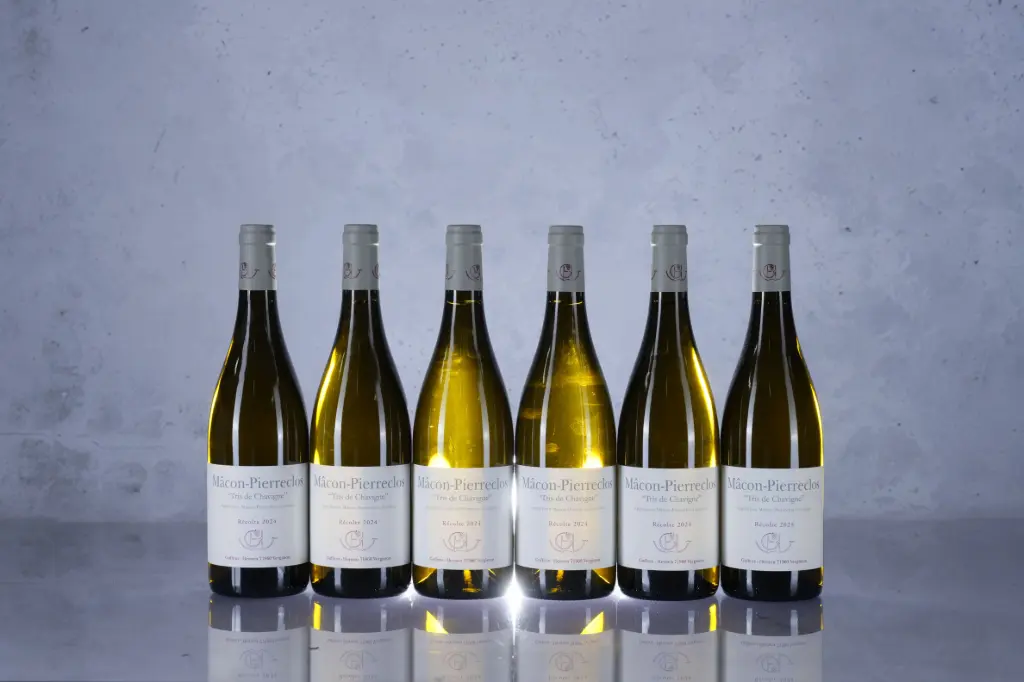 Guffens-Heynen Macon Pierreclos 'Tri de Chavigne' 2024 (750ml)