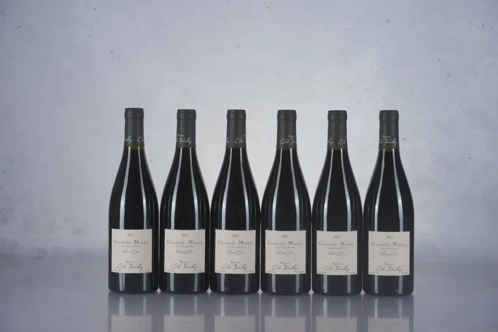 Cecile Tremblay Chambolle-Musigny 1er Cru Les Feusselottes 2011 (750ml)(M13)