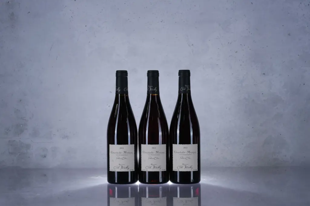Cecile Tremblay Chambolle-Musigny 1er Cru Les Feusselottes 2012 (750ml)*