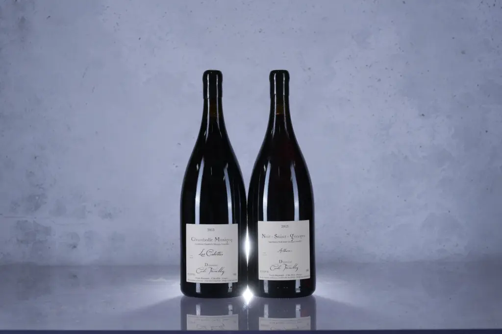 Cecile Tremblay Chambolle-Musigny Les Cabottes 2013 (1.5L)(M13)