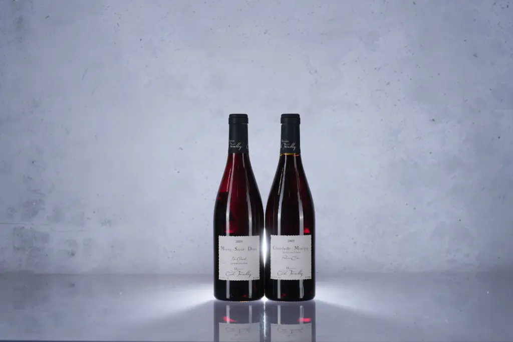 Cecile Tremblay Morey St Denis Tres Girard 2009 (750ml)(M13)