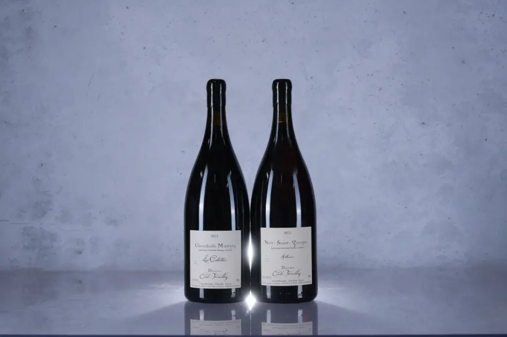 Cecile Tremblay Nuits St Georges Albuca 2013(1.5L)(M13)
