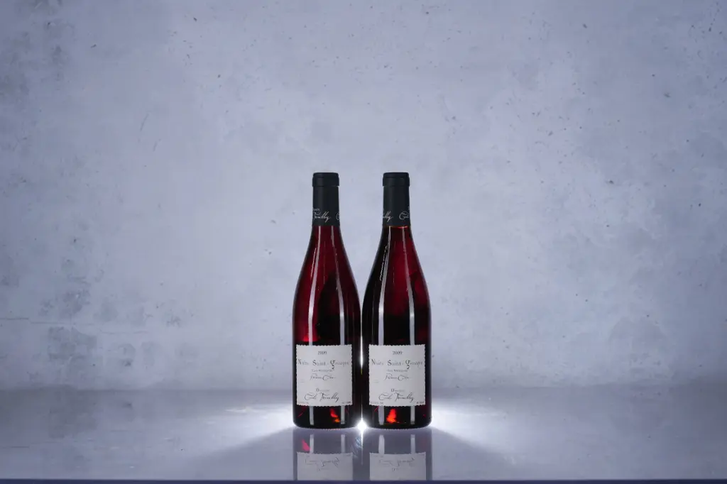 Cecile Tremblay Nuits St. Georges 1er Cru Les Murgers 2009 (750ml)(M13)