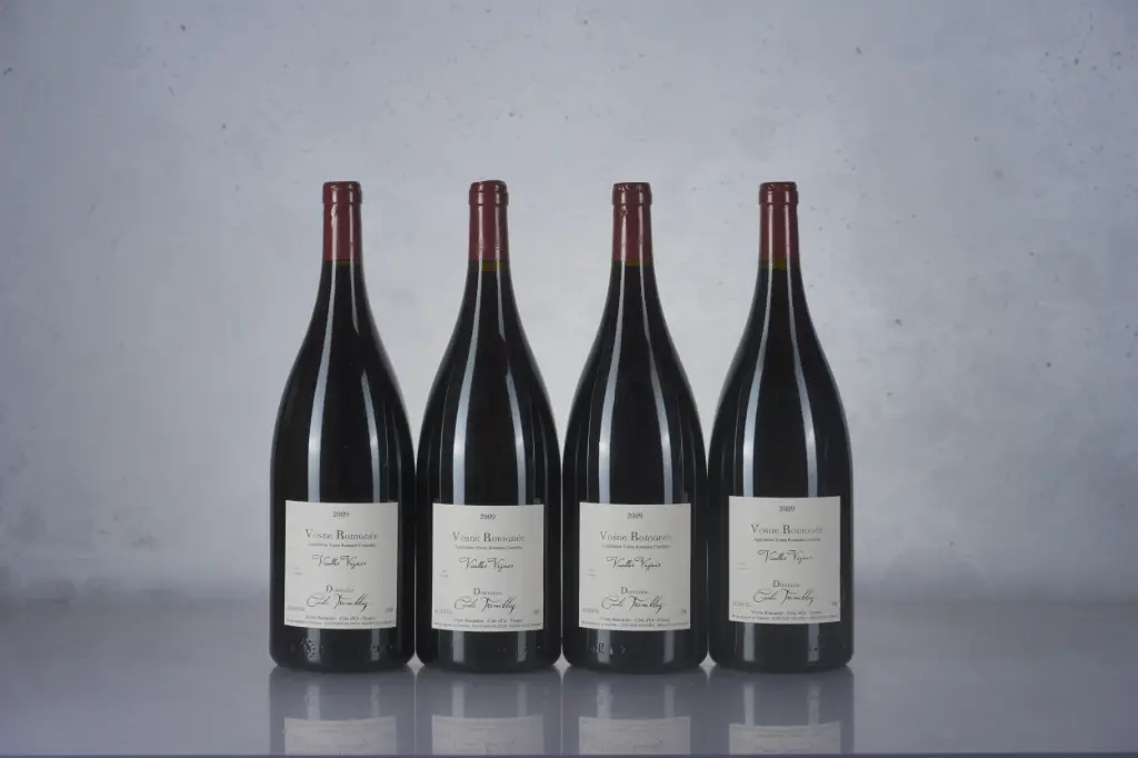 Cecile Tremblay Vosne-Romanee Vieilles Vignes 2009 (1.5l)(M13)