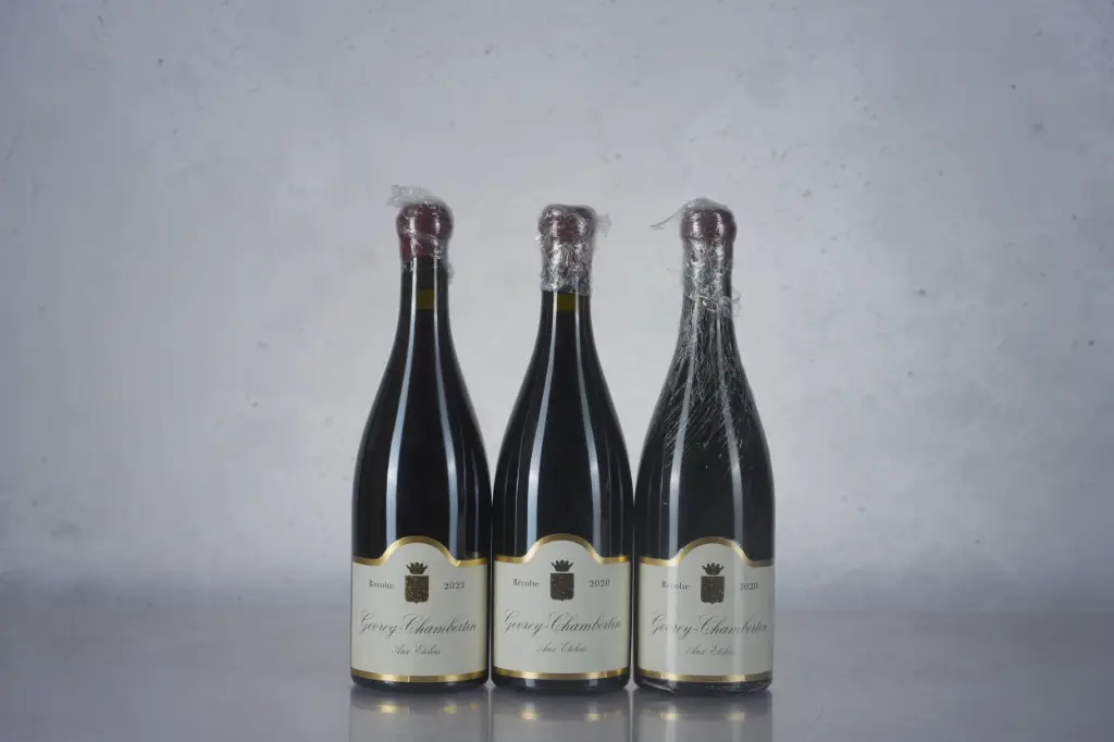 William Kelley Gevrey Chambertin Aux Etelois 2022 (750ml)