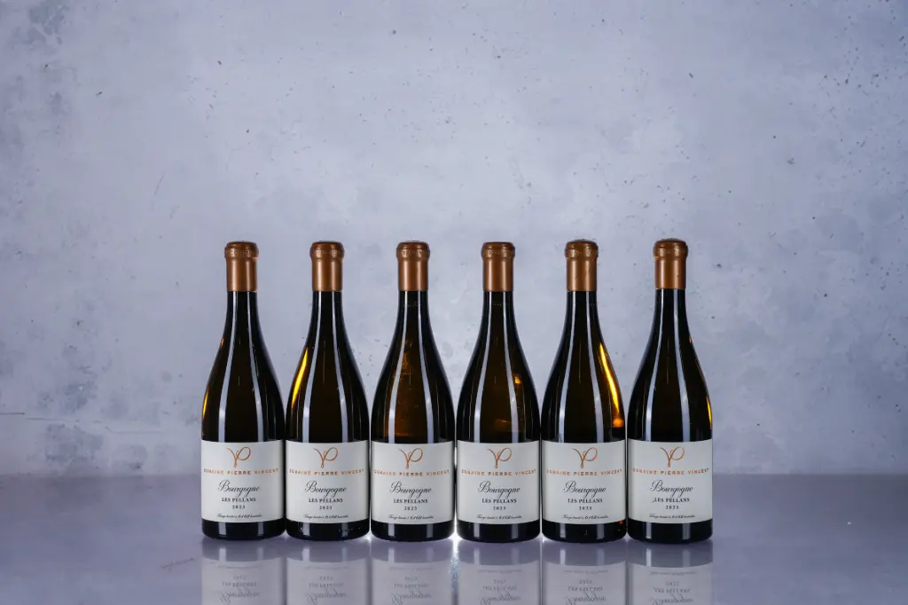 Pierre Vincent Bourgogne Les Pellans 2023 (750ml)