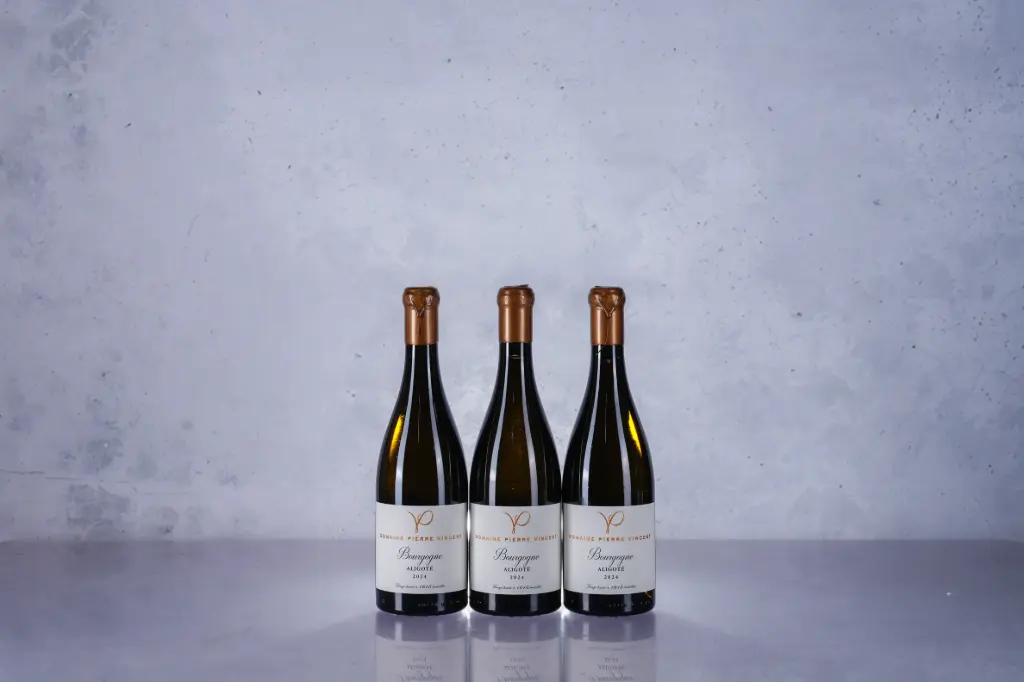 Pierre Vincent Bourgogne Aligote 2024 (750ml)