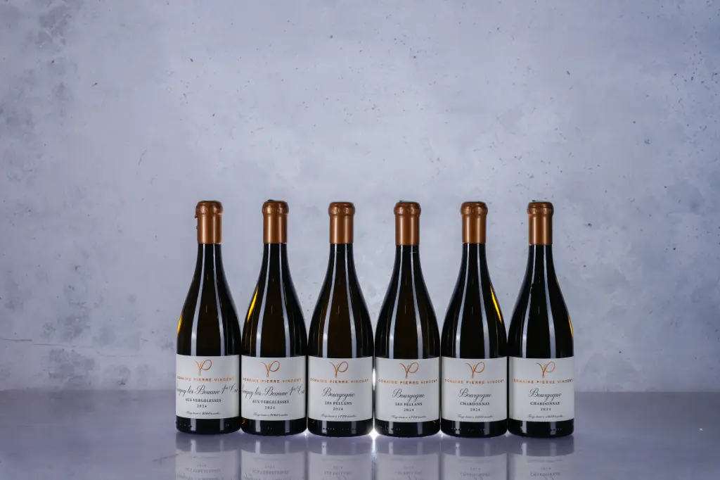 Pierre Vincent Bourgogne Les Pellans 2024 (750ml)