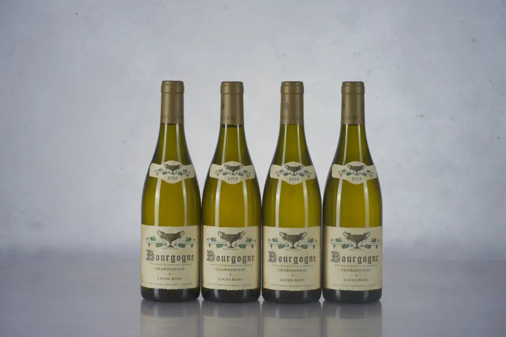 Coche Dury Bourgogne Chardonnay 2019 (750ml)