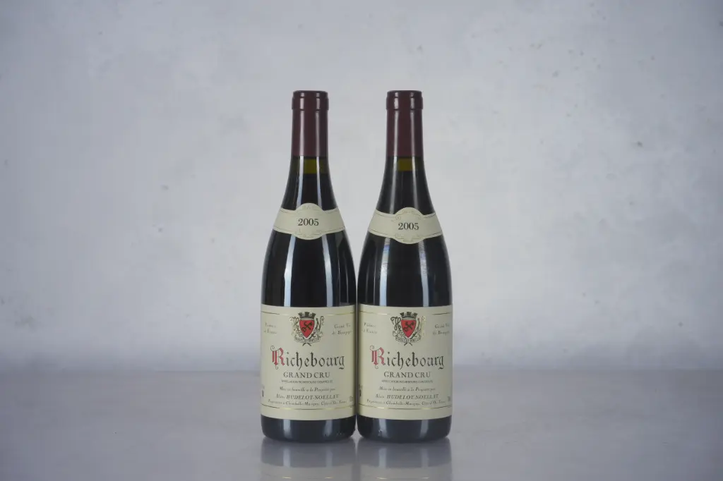 Hudelot Noellat Richebourg 2005 (750ml) (K16)