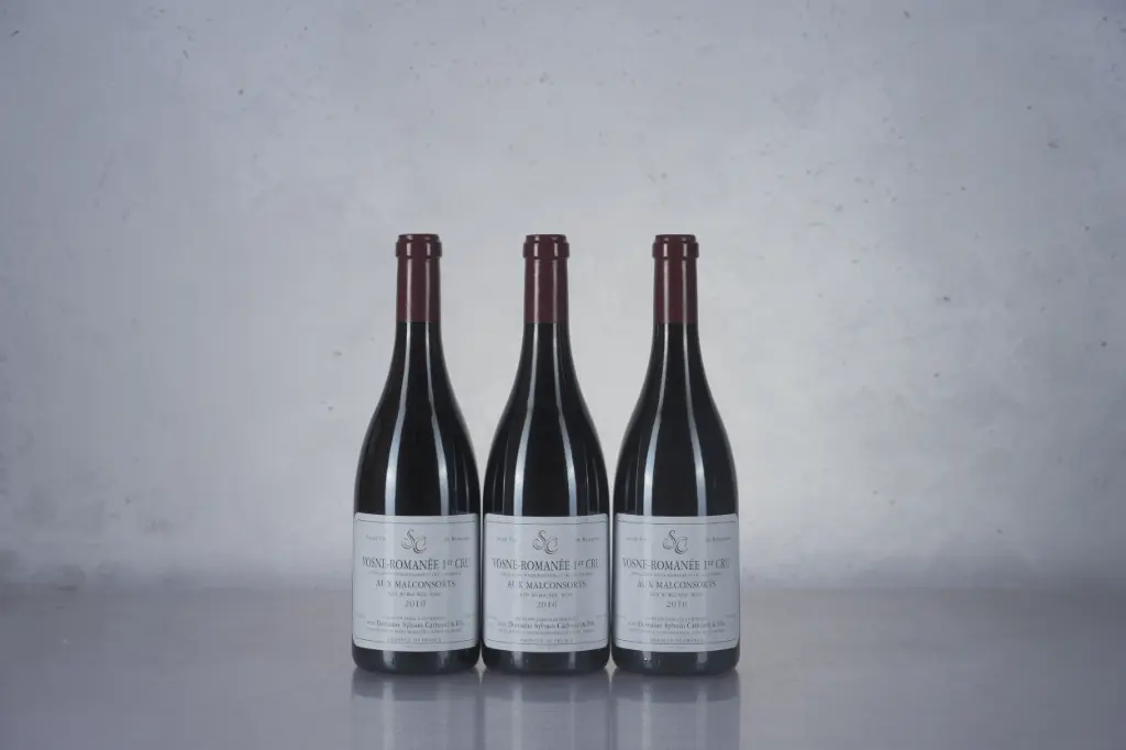 Sylvain Cathiard Vosne Romanee 1er Cru Malconsorts 2010 (750ml) (K16)