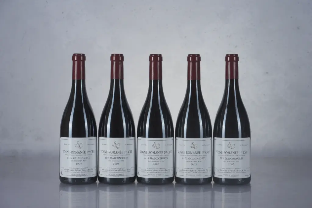 Sylvain Cathiard Vosne Romanee 1er Cru Malconsorts 2005 (750ml) (K16)