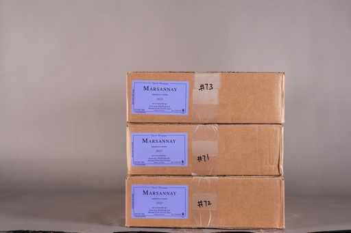 Sylvain Pataille Marsannay 2022 (750ml)