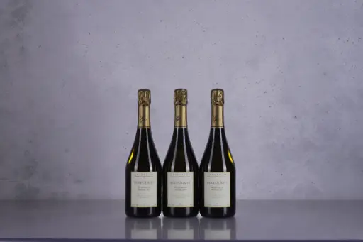Egly-Ouriet Grand Cru Brut Millesime 2007 (750ml)