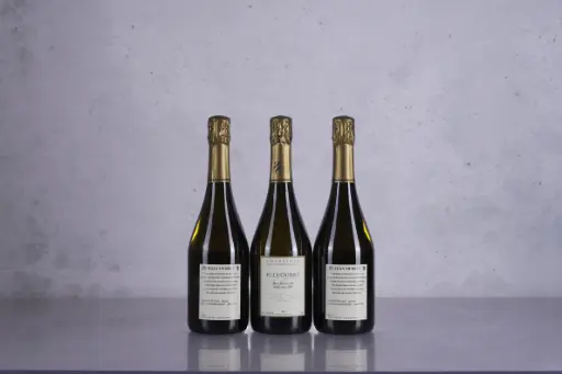 Egly-Ouriet Grand Cru Brut Millesime 2009 (750ml)