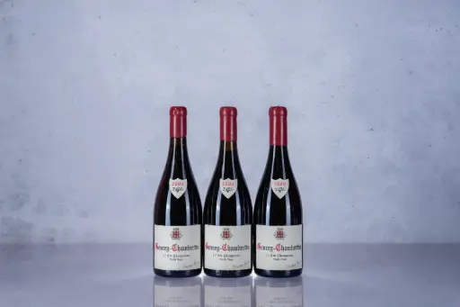 Fourrier Gevrey Chambertin 1er Cru Champeaux Vieille Vigne 2009 (750ml)