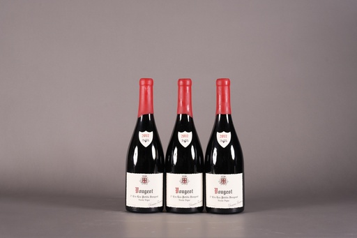 Fourrier Vougeot 1er Cru Les Petits Vougeots 2017 (750ml)
