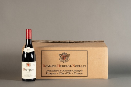 Hudelot Noellat Bourgogne Rouge 2020 (750ml)