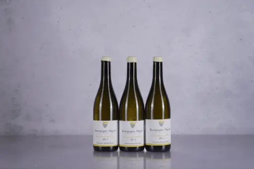 Nicolas Faure Bourgogne Aligote La Corvee de Bully 2021 (750ml)